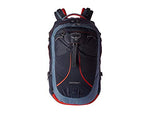 Osprey Pandion
