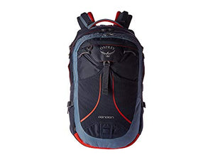 Osprey Pandion