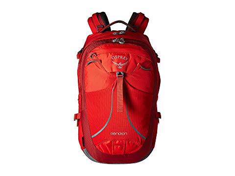 Osprey Pandion
